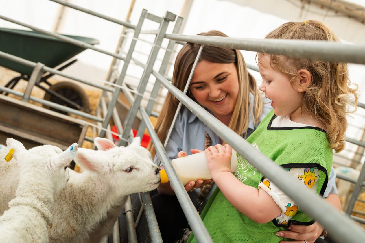 Adventure farm 161