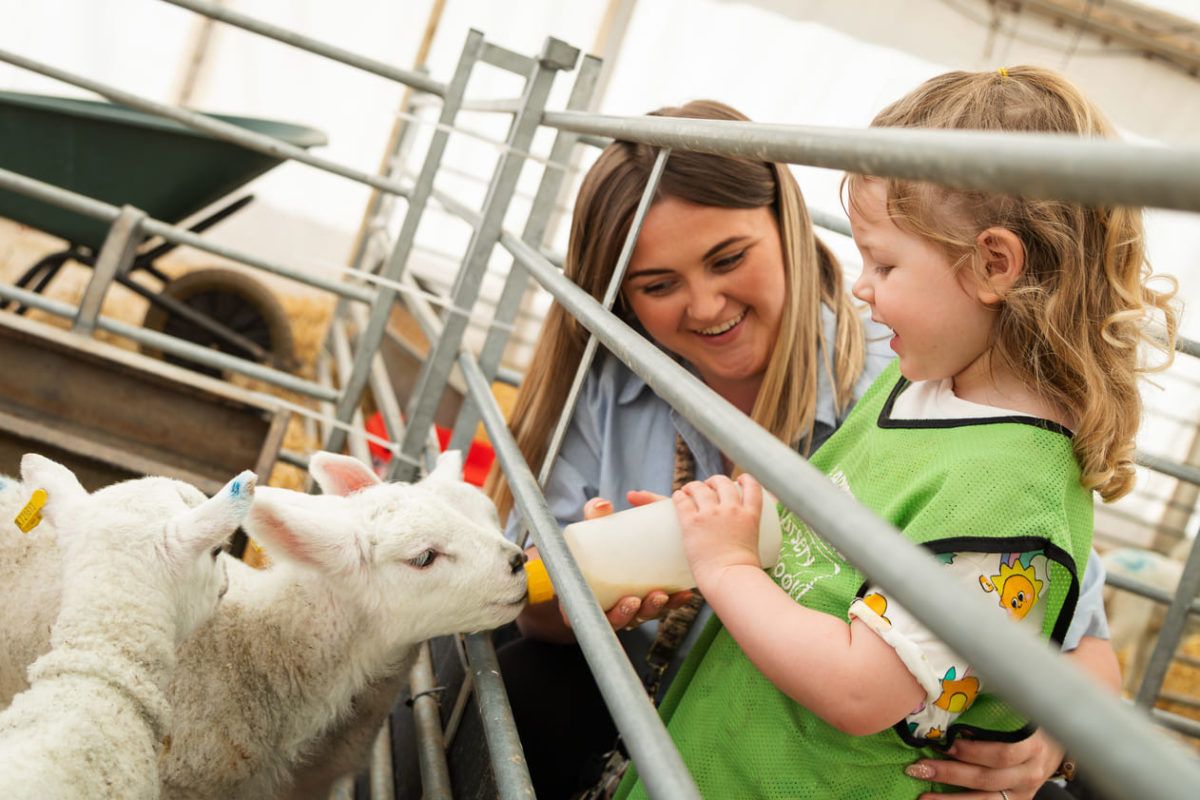 Adventure farm 161