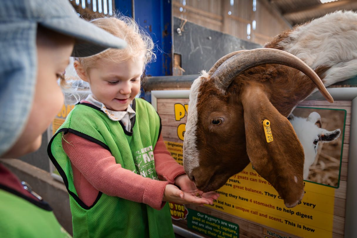 Adventure farm 46